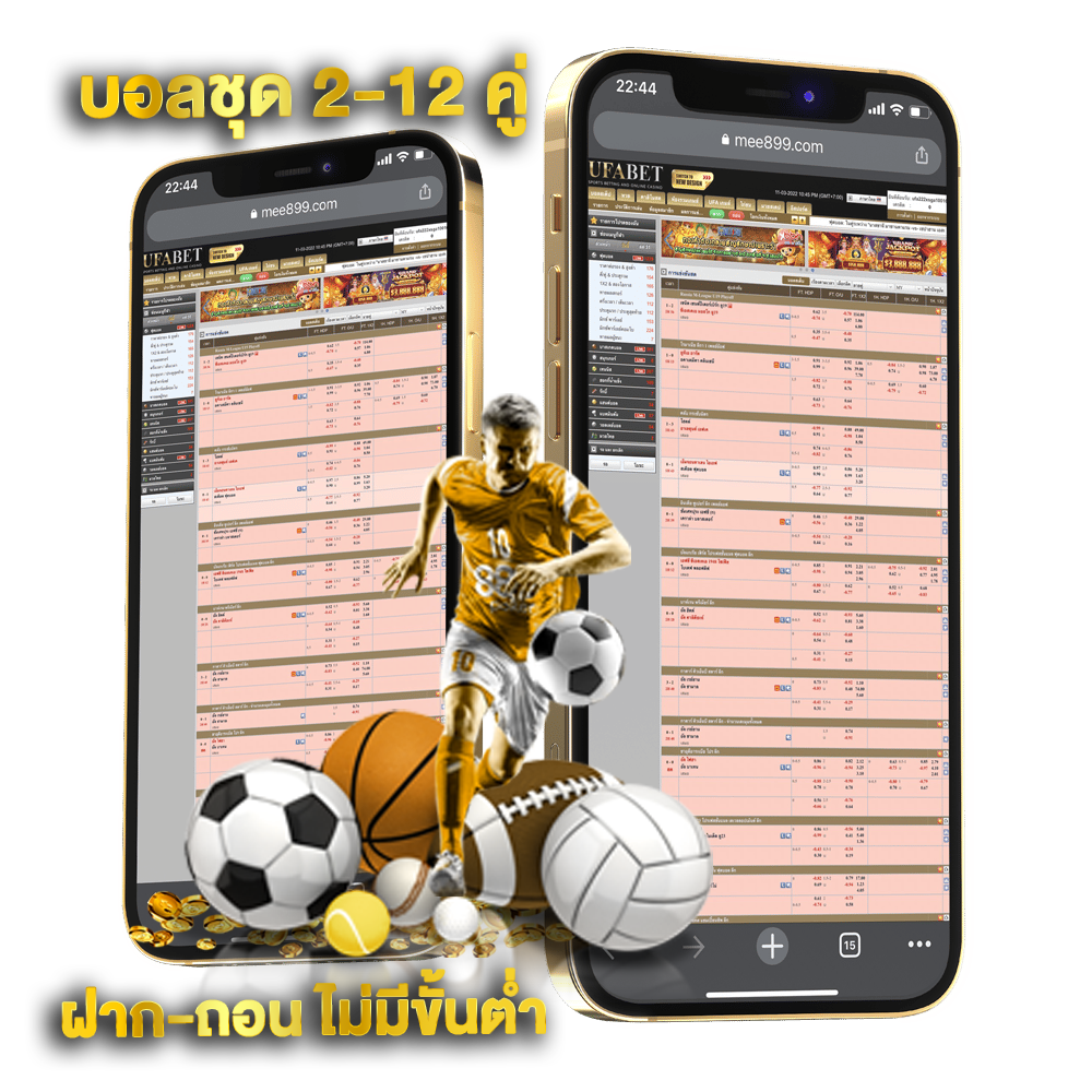 เว็บแทงบอล